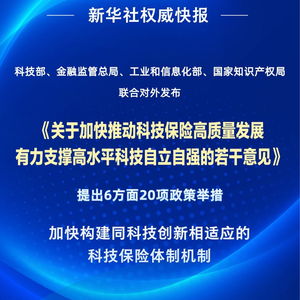 四部門聯合發力，以二十項舉措推動科技保險高質量發展——信息技術咨詢服務迎來新契機
